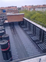 /album/fotogaleria/imagen0262-jpg/