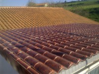 /album/fotogaleria/imagen0275-jpg/